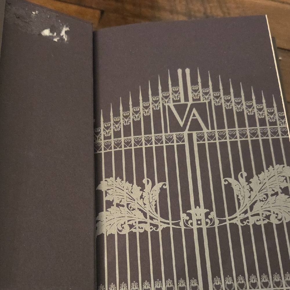 Vampire Academy Book Set by Richelle Mead - Title Page (White & Black Text) - Picture 7 of 7